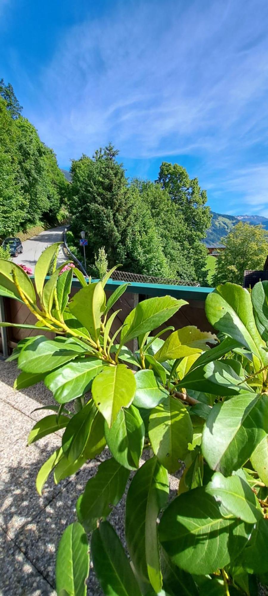 Ferienwohnung Steinberger Hippach Dış mekan fotoğraf