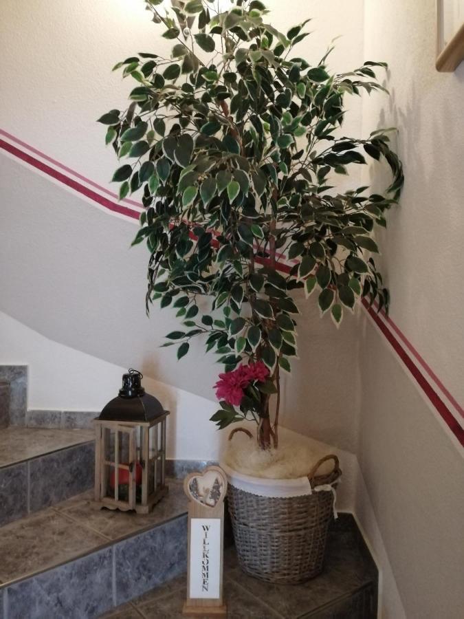 Ferienwohnung Steinberger Hippach Dış mekan fotoğraf